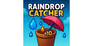 raindrop-catcher